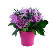 MINIARRANGEMENT WITH CONTAINER
