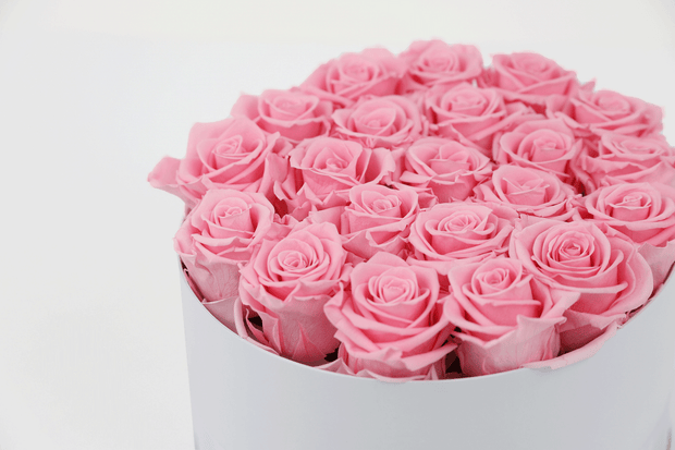 PINK DOZEN ROSES IN A GIFT HAT BOX