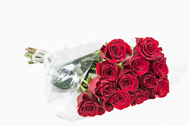 Valentine's Dozen Roses