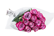 roses, flower, fresh cut flower, red roses, color roses, bouquetes, flower bouquest, dozen roses, dozen color roses, Valentine roses, color roses, fresh cut flower, fresh cut roses, wholesale prices