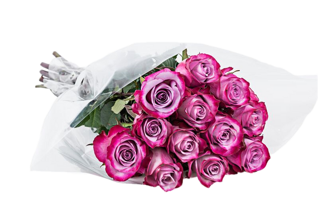 roses, flower, fresh cut flower, red roses, color roses, bouquetes, flower bouquest, dozen roses, dozen color roses, Valentine roses, color roses, fresh cut flower, fresh cut roses, wholesale prices