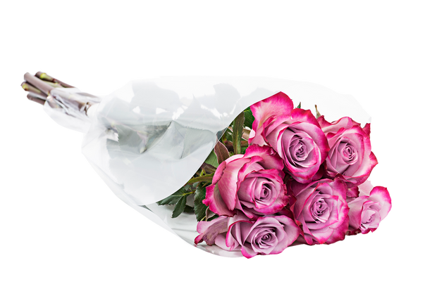 Easter roses, beautiful roses, best flowers, retail flower, wholesale flowers, Easter flowers, easter gifts, fresh cut flowers