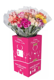 MOTHER'S DAY DOZEN ROSES 50% RED 50% COLOR 40CMS