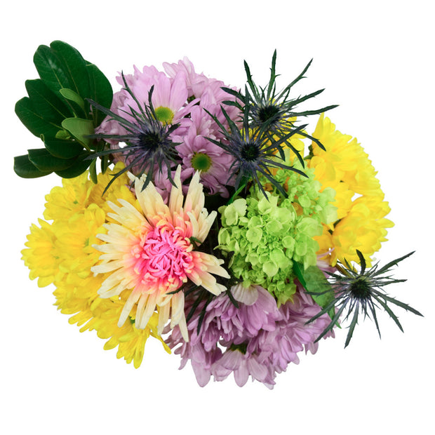 Fresh cut flowers, mother´s day, mothers day, mom flowers, flowers for mothers day, beautiful flowers, store flowers sellers, display flowers, wholesale prices, best prices, farm flowers, flower bouquets, dozen roses, color flowers, flowers for business
