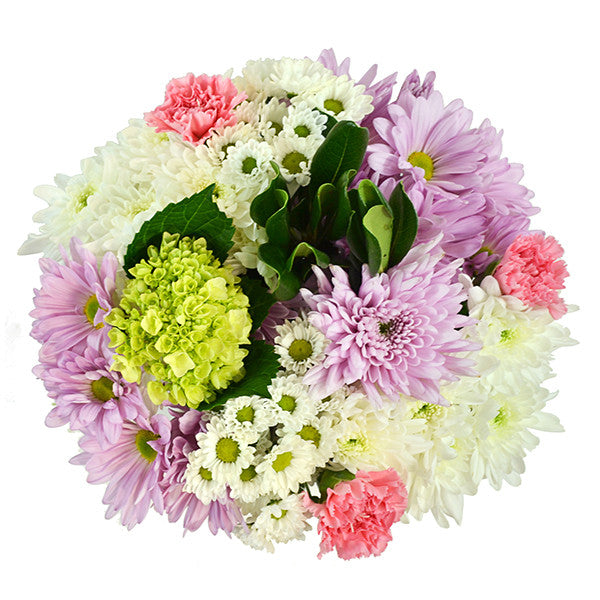 Fresh cut flowers, mother´s day, mothers day, mom flowers, flowers for mothers day, beautiful flowers, store flowers sellers, display flowers, wholesale prices, best prices, farm flowers, flower bouquets, dozen roses, color flowers, flowers for business