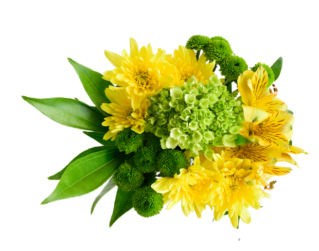 St patrick´s day, celbration saint patrick´s, best flower, fresh cut flowers, wholesale prices 