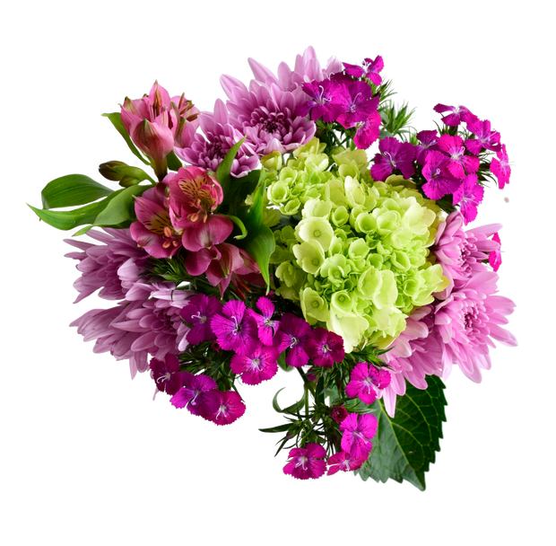 International womans day, fresh cut flowers, beautiful flowers, wholesale prices, flower bouquet