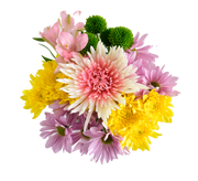 Flower, flower bouquet, flowers, mother´s day, mother, mothers day, flower arrangements, flowers gift, gift, flowers for mothers