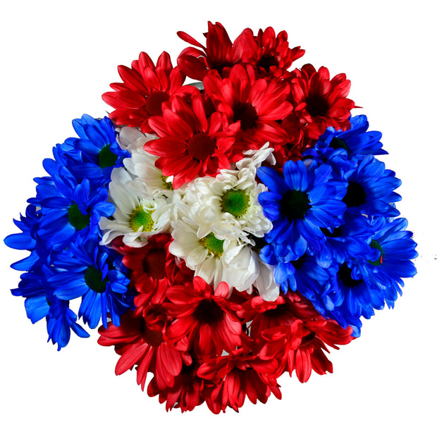 patriotic poms, flowers, memorial day, memorial day flowers, 4th of july flowers, independence day, independence day flowers, gifts, flowers red blue white flowers