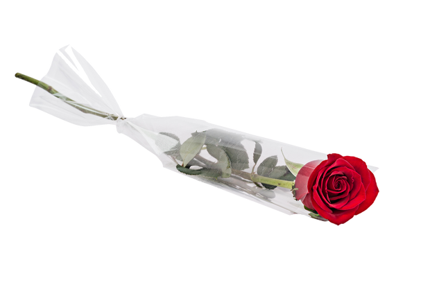 Valentine's day Single Roses, Valentine´s, love day, Valentines roses, Valentine´s flower, Love, Roses, Red rose, Vlentines day, Valentine´s Day, Flowers for valentine´s