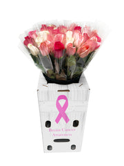 Breast Cancer Awareness Single Roses - 25 Units per Box